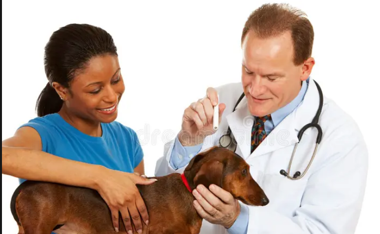 Screenshot 2024-02-23 at 23-49-43 Title 102 African American Veterinarian White Background Stock Photos